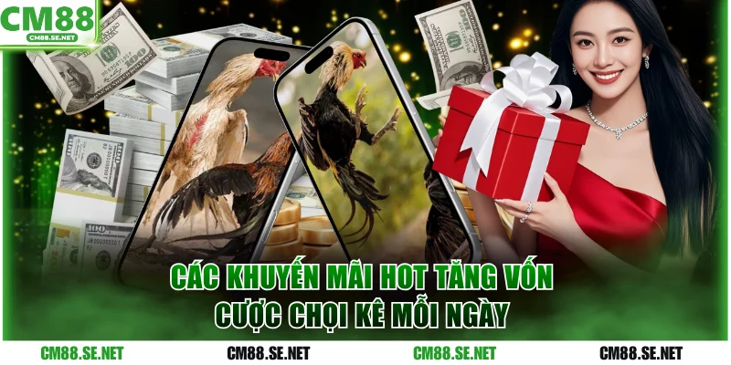 Các khuyến mãi hot tăng vốn cược chọi kê mỗi ngày
