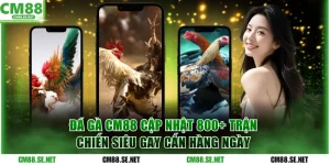 Đá gà CM88
