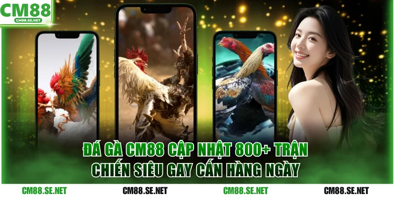 Đá gà CM88