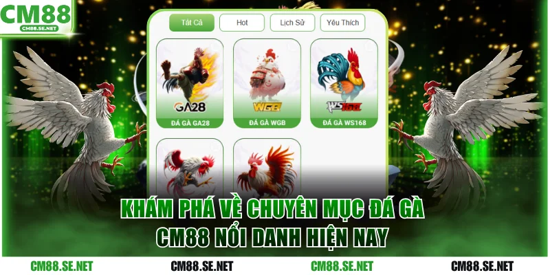 Khám phá về chuyên mục đá gà CM88 nổi danh hiện nay
